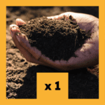 Analyse Albrecht Gold - Lot de 1 analyse