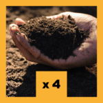 Analyse Albrecht Gold - Lot de 4 analyses