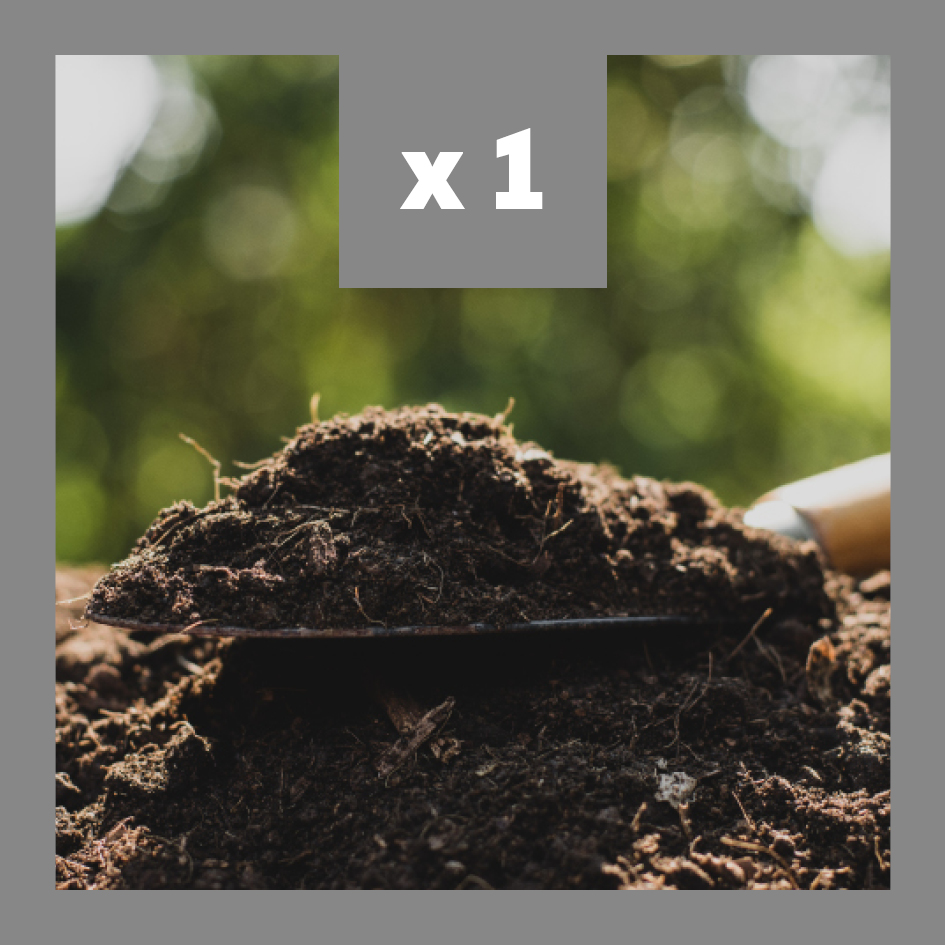 Analyse Albrecht Silver - Lot de 1 analyse